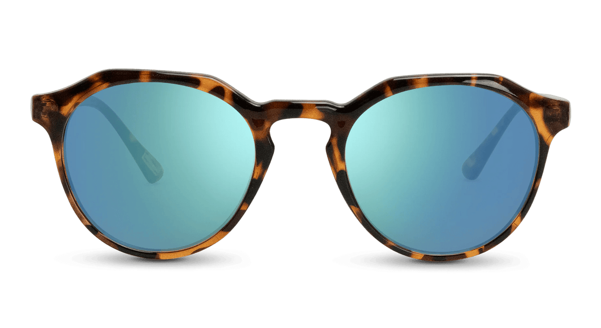 Wynwood Sunglasses