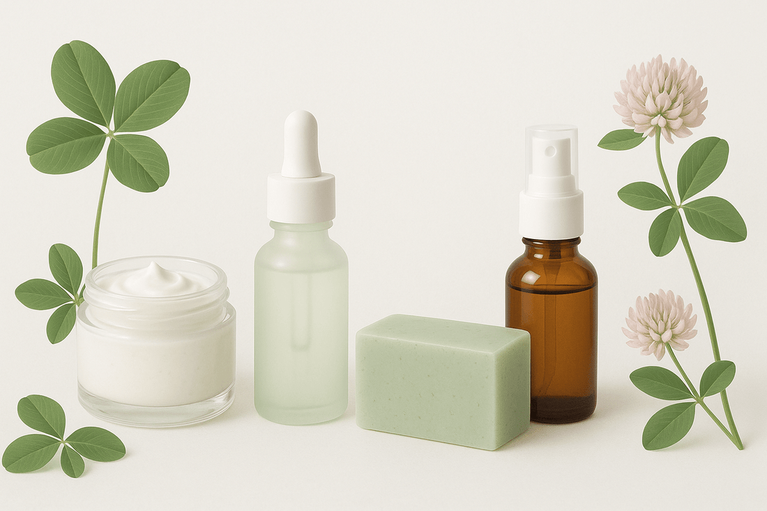 Welcome Clover by Clove + Hallow to Daily Health & Beauty - Daily Health & Beauty