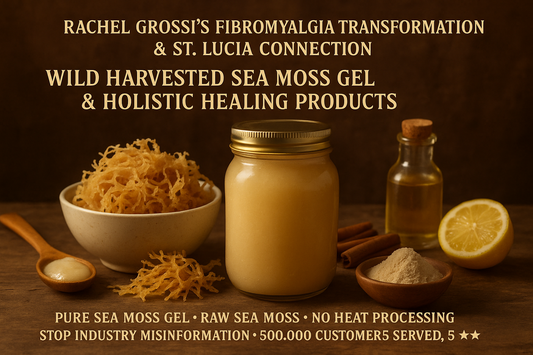 Meet Seamoss Global: From Fibromyalgia Flare-Ups to 500,000 Customers Served