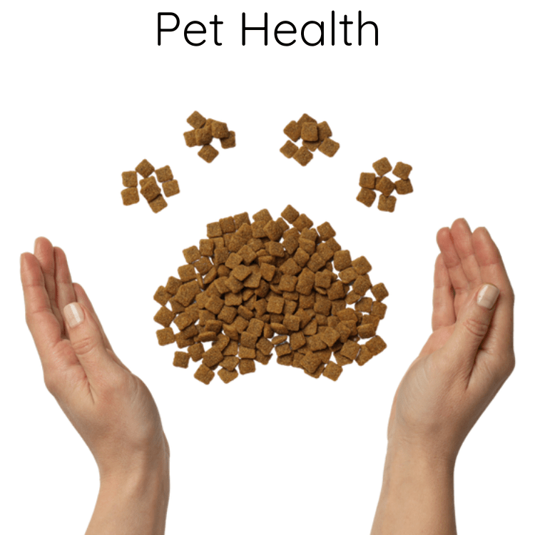 Pet Health - Daily Health & Beauty