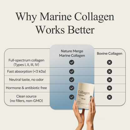 Wild-Caught Marine Collagen Peptides – Type I, II, III & IV