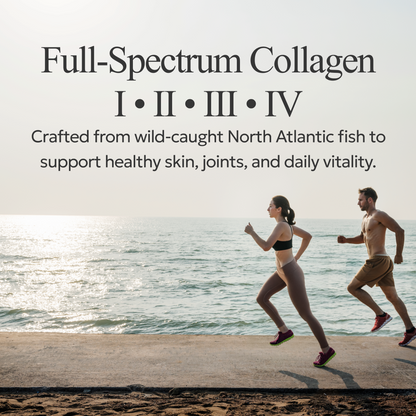 Wild-Caught Marine Collagen Peptides – Type I, II, III & IV