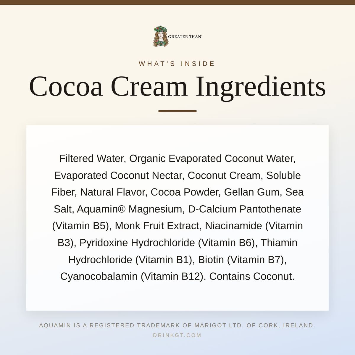 Cocoa Cream: Dairy-Free Coconut Water Beverage with Electrolytes and Vitamins (11.2 oz Tetra Paks)