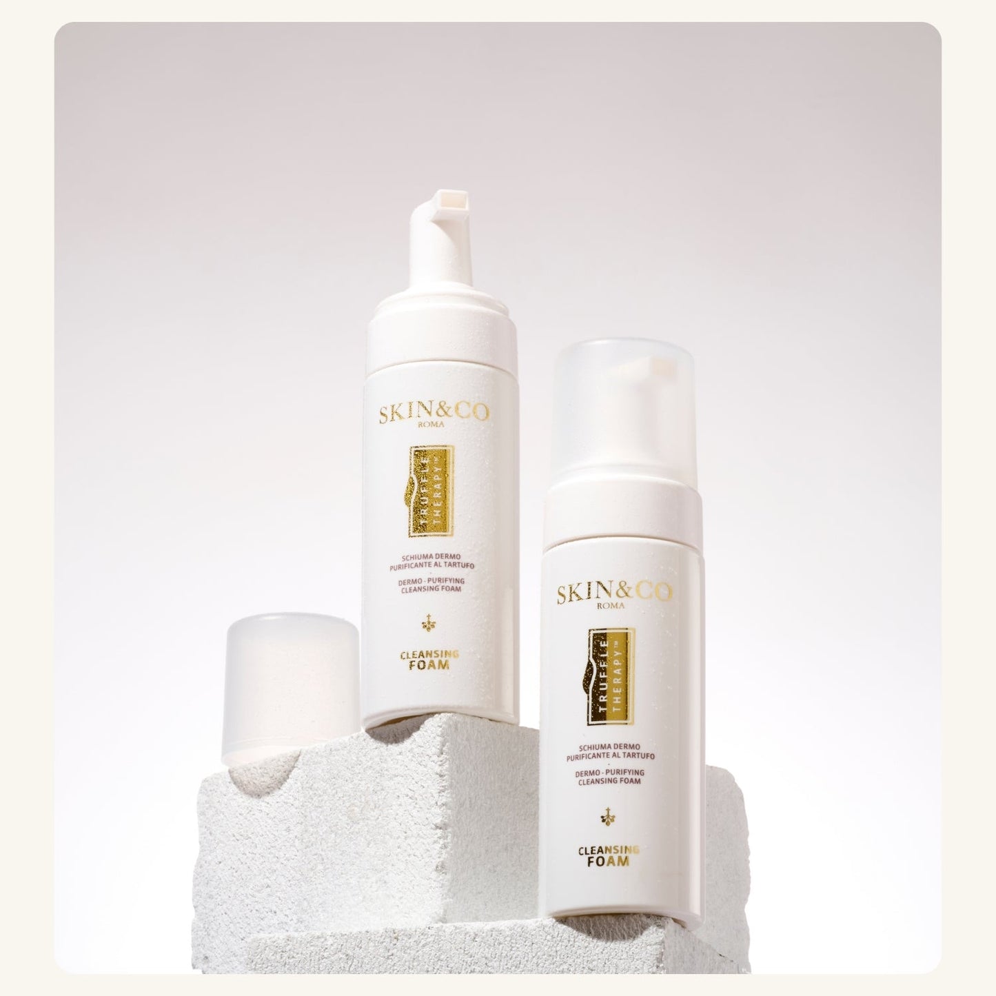 The Foaming Cleanser