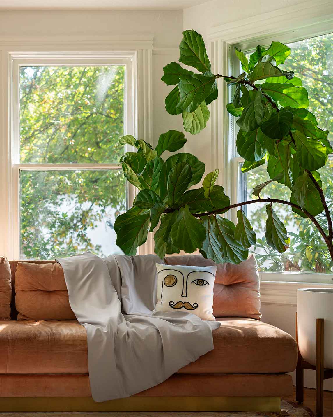 Cotton Duvet Cover
