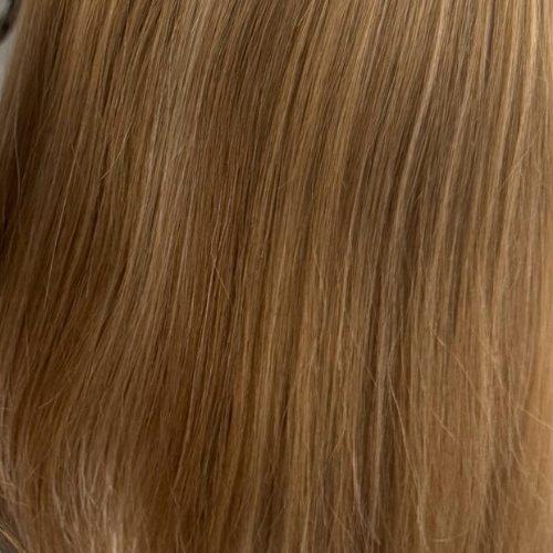 Michelle 10 | Euro Human Hair Sure Fit (French Top and Hand-Tied)