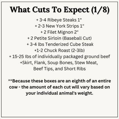 CMR 1/8 Beef * READY TO SHIP (DHB)