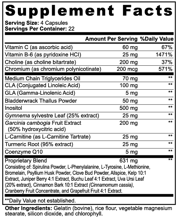 AgniLean Metabolism Support Capsules | 90 Vegetarian Capsules