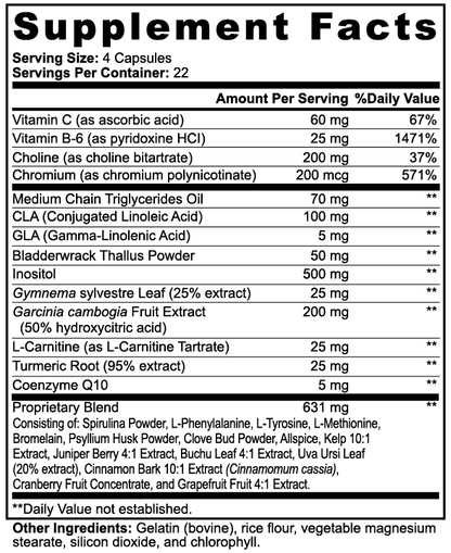 AgniLean Metabolism Support Capsules | 90 Vegetarian Capsules