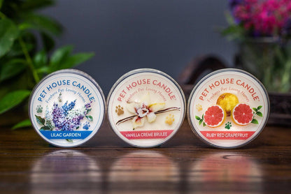 Vanilla Creme Brulee Mini Candle