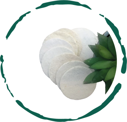 10-Pack Natural Loofah Pads
