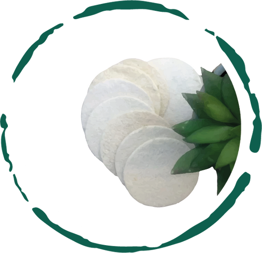 10-Pack Natural Loofah Pads