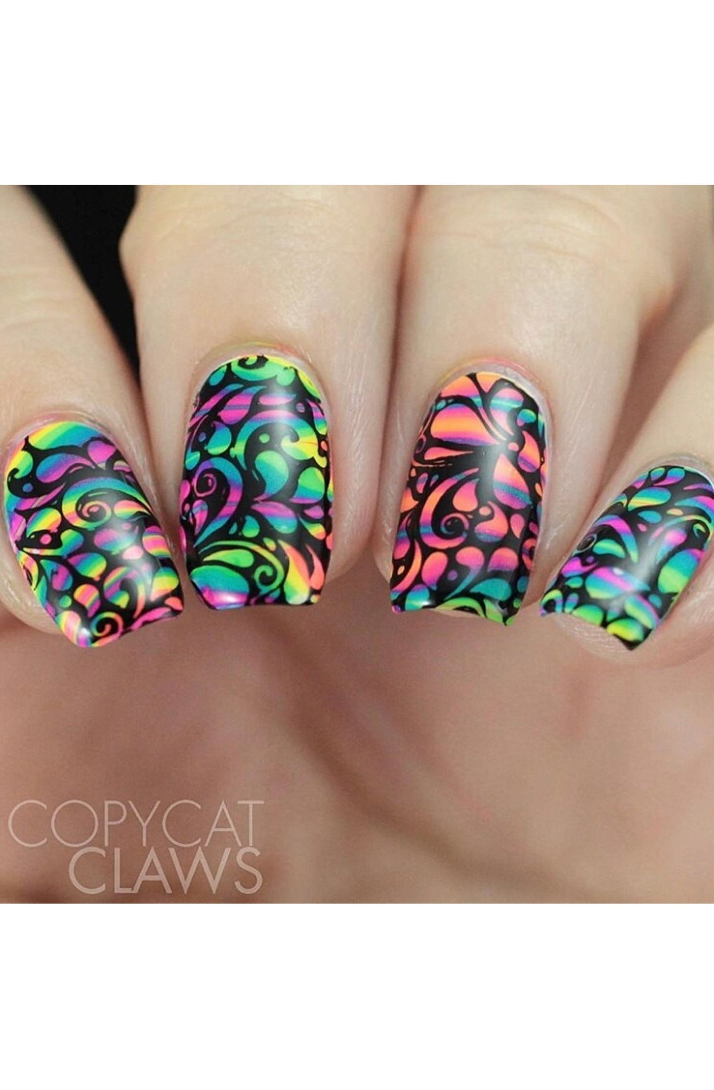 Collection 22