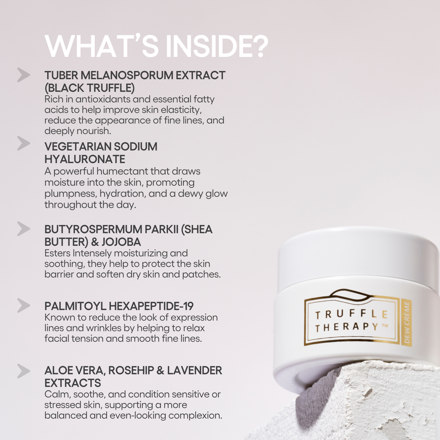 Truffle Therapy Day Crème