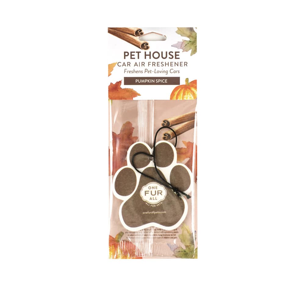 Pumpkin Spice Car Air Freshener