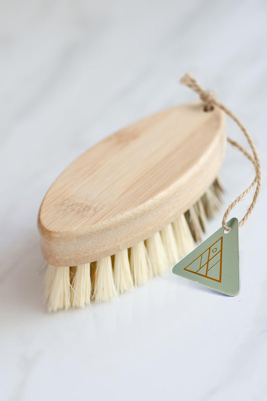 CASA AGAVE® Duo Tone Vegetable Brush | General Cleaning - No Tox Life®
