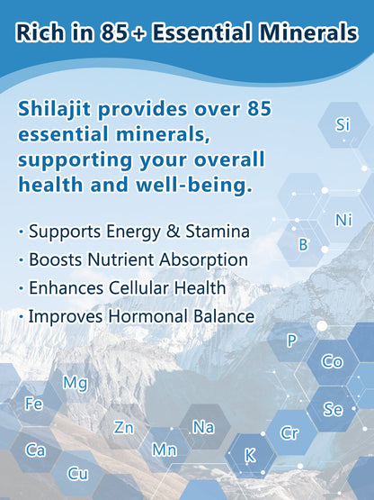 Himalayan Shilajit Capsules, 120 Veggie Capsules