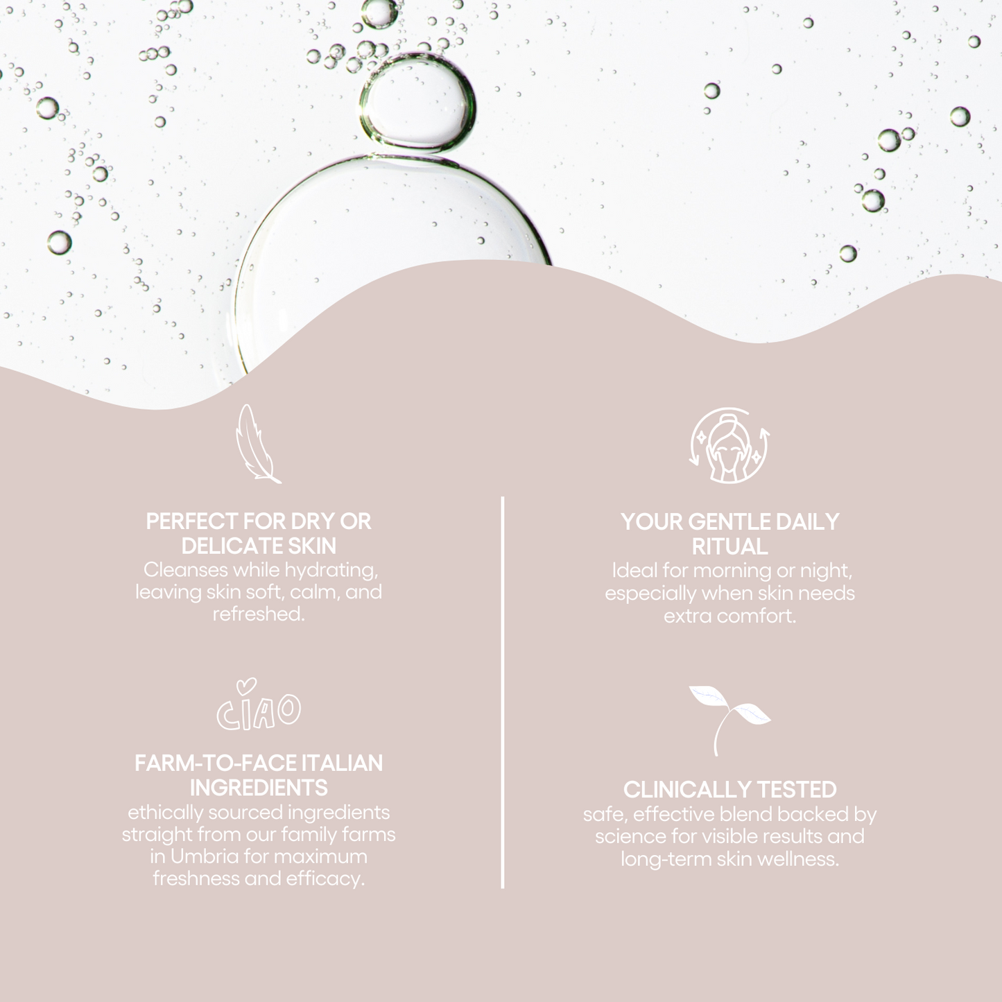 The Whipped Cleanser