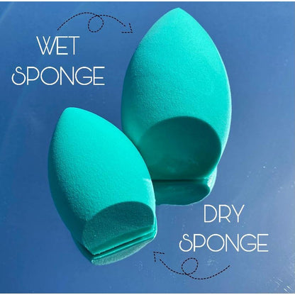 Beauty Sponge | Clean Beauty Sponge