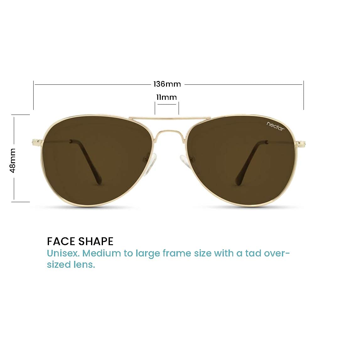 Kitty Hawk Sunglasses