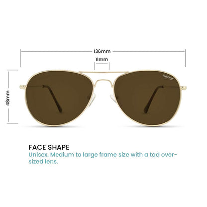 Kitty Hawk Sunglasses