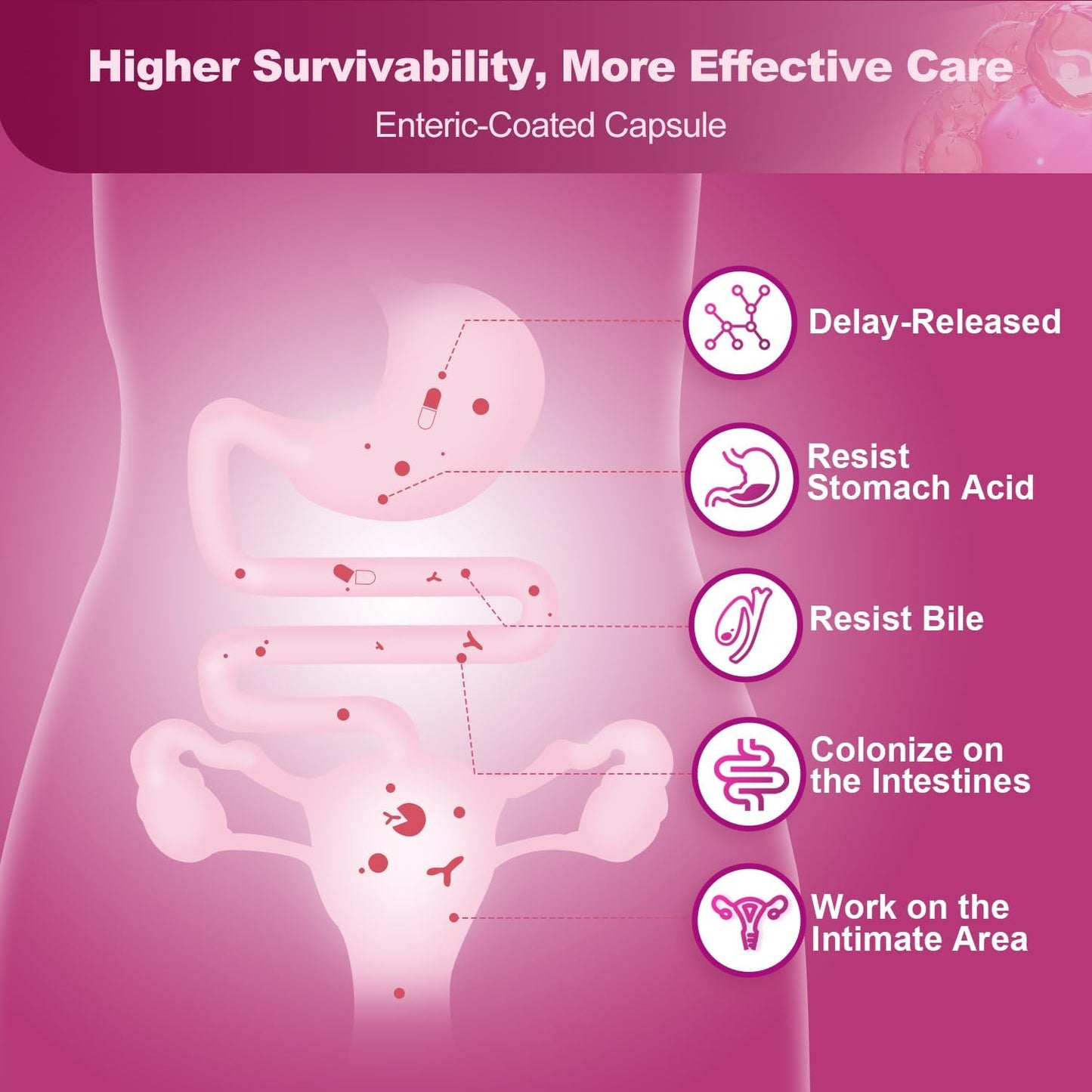 Women’s Urinary Health Probiotics, 60 Billion Probiotics, 90 Veggie Capsules