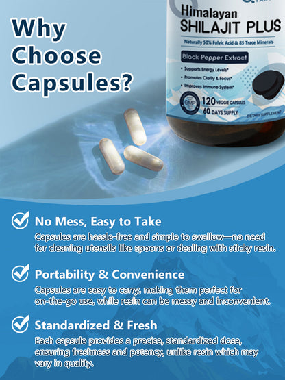 Himalayan Shilajit Capsules, 120 Veggie Capsules