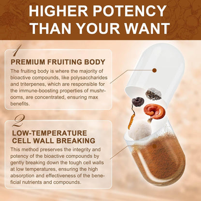 14-IN-1 Mushroom Complex with Lion's Mane, 120 Capsules