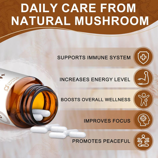 14-IN-1 Mushroom Complex with Lion's Mane, 120 Capsules
