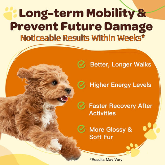 Glucosamine Joint Supplement for Dogs & Cats, 90 Scoops