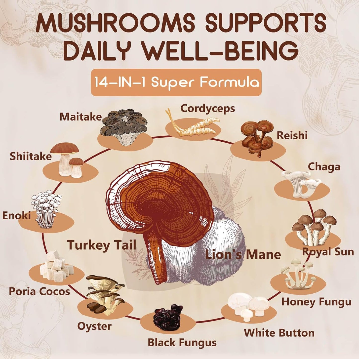 14-IN-1 Mushroom Complex with Lion's Mane, 120 Capsules