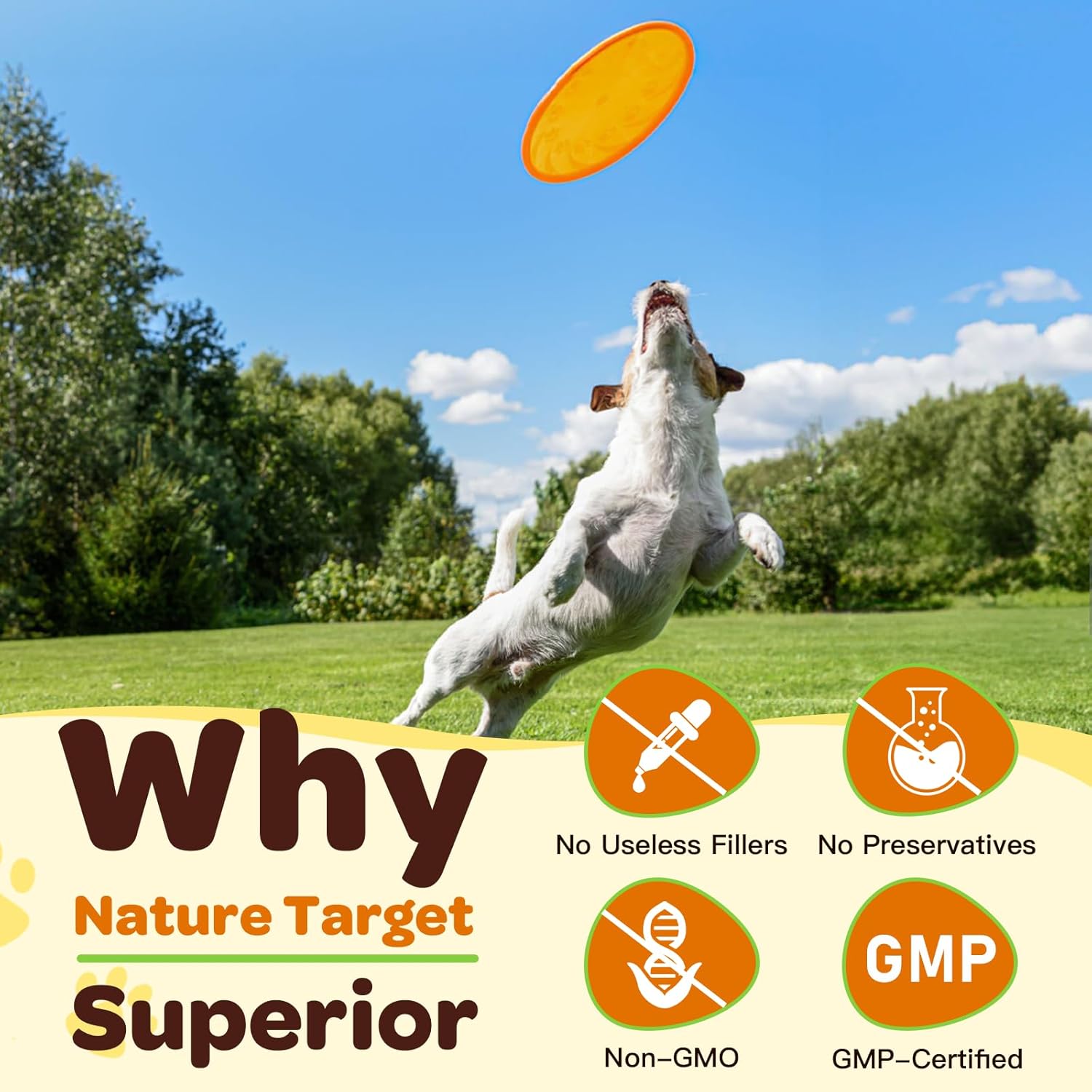 Glucosamine Joint Supplement for Dogs & Cats, 90 Scoops