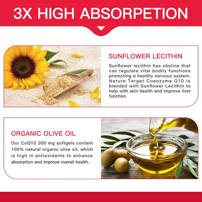 CoQ10 + PQQ + Olive Oil, 300mg, 120 Softgels