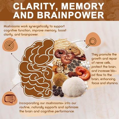 14-IN-1 Mushroom Complex with Lion's Mane, 120 Capsules