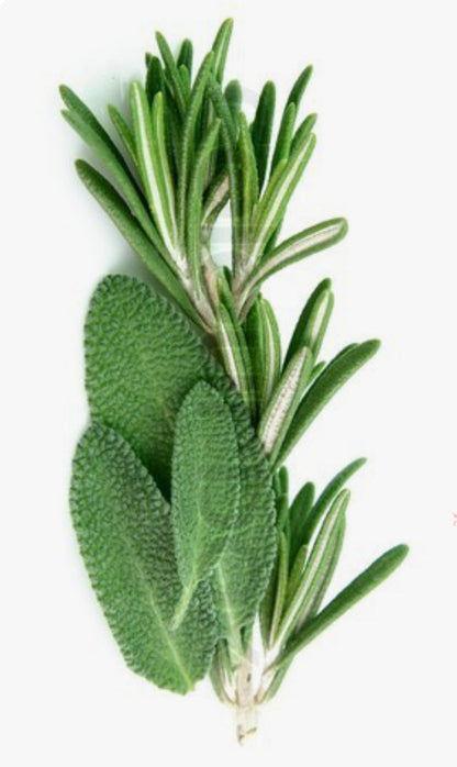 Rosemary Sage Soy Candle – Fresh & Herbal Scent | Mam Jam’s