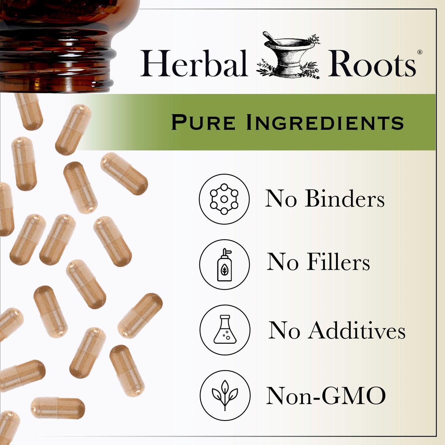 Organic Black Elderberry