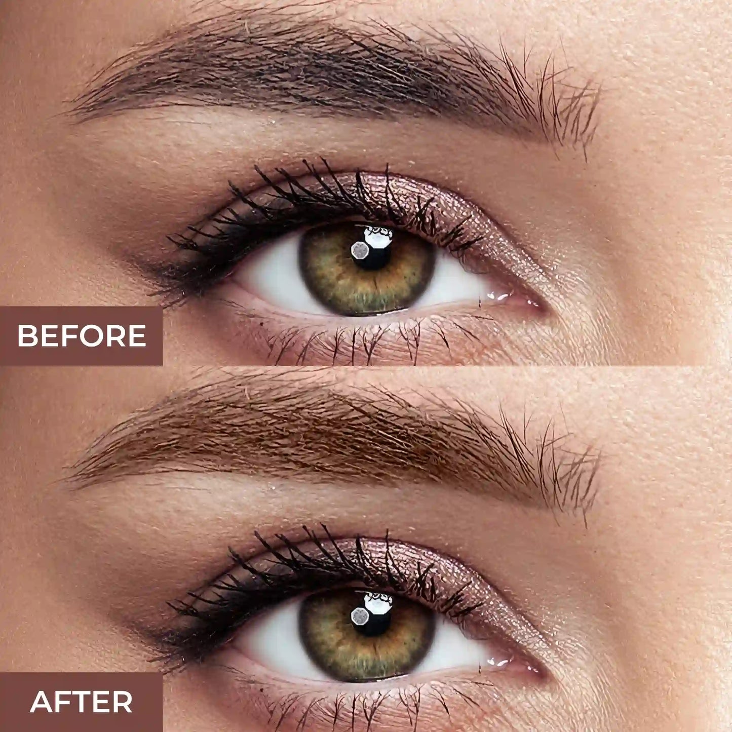 PxLook Eyebrow Palette