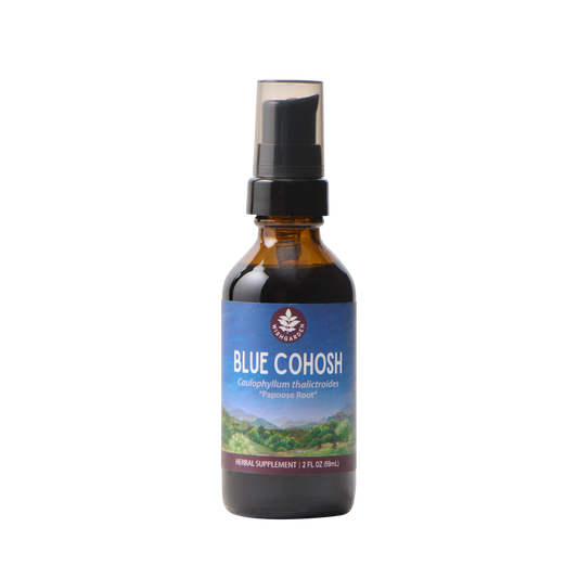 Blue Cohosh