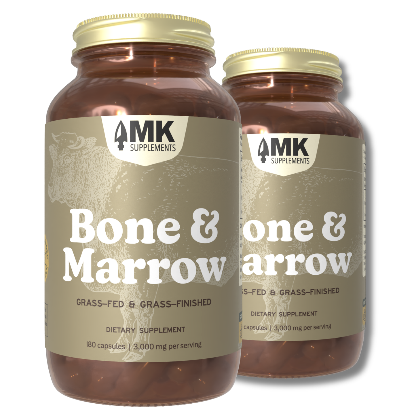 Bone & Marrow