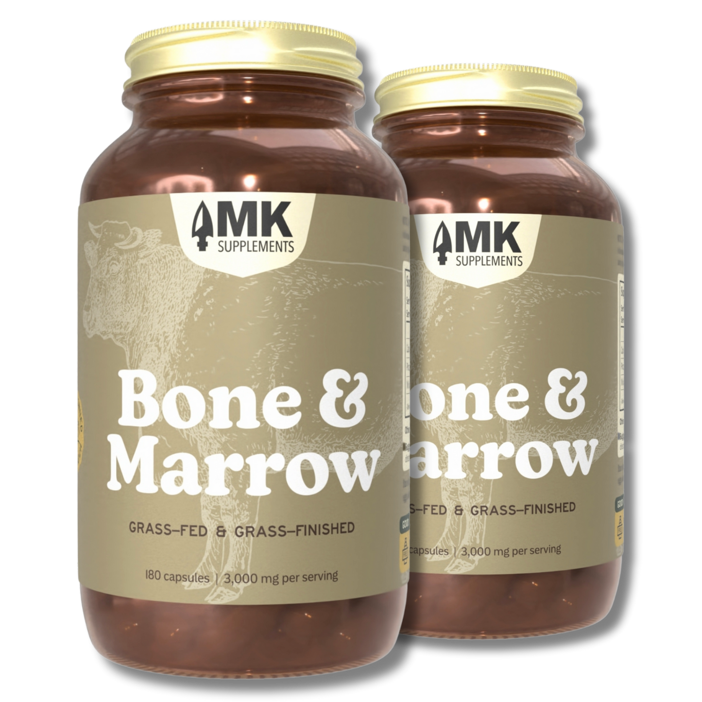 Bone & Marrow
