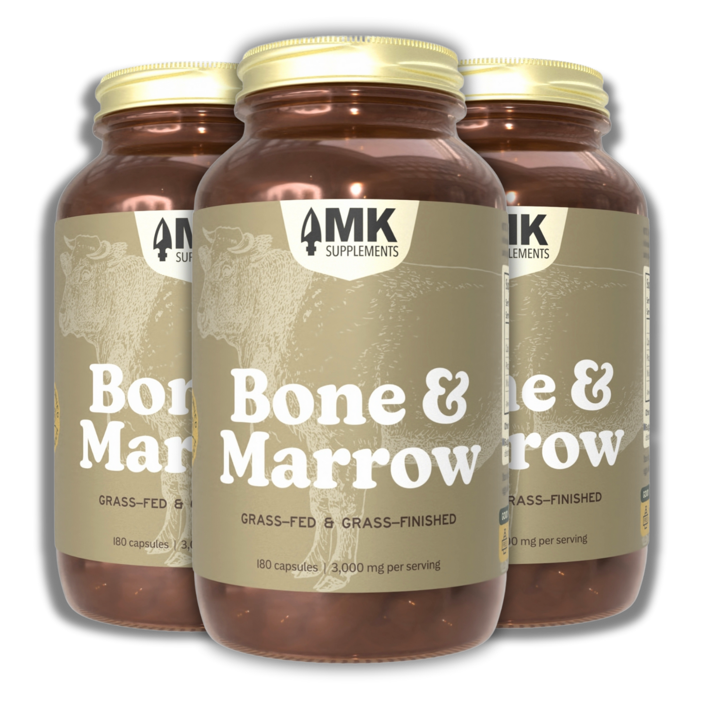 Bone & Marrow