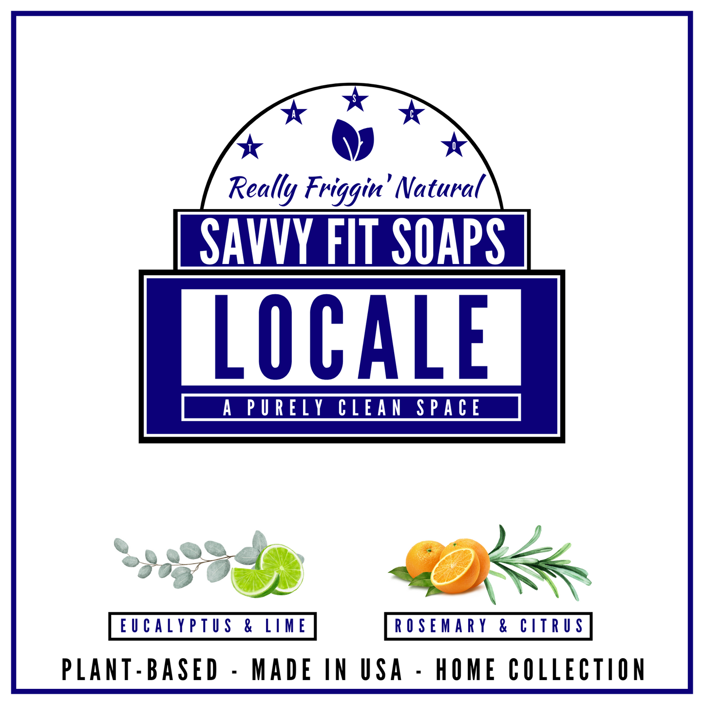 LOCALE: Safe & Clean Surface Cleaner Kit Powered by E