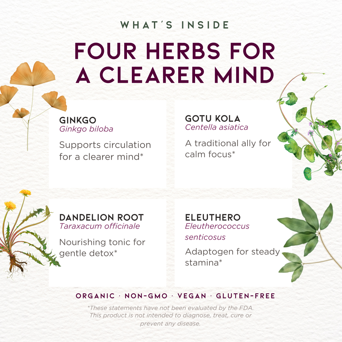 Genius Juice, Cognitive Aid