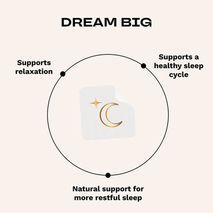 The Big Sleep