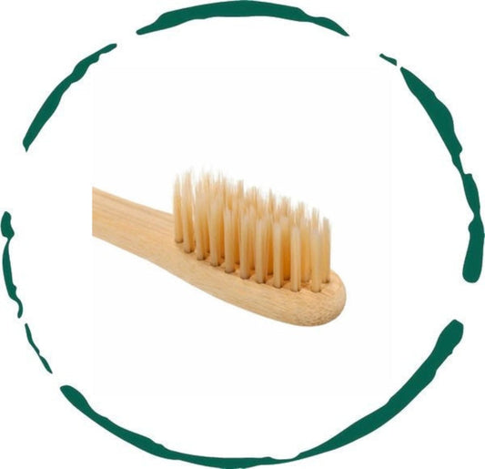 Brosse à Dents en Bambou. Douce, Écologique
