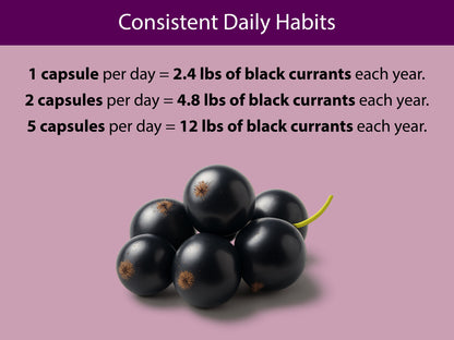 Organic Black Currant Capsules