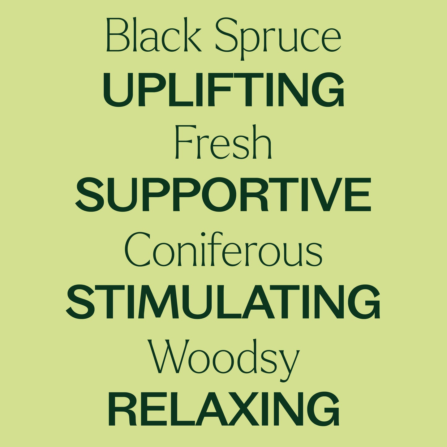 Black Spruce Essential Oil