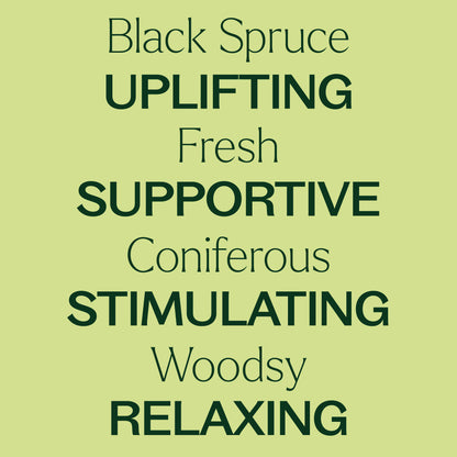 Black Spruce Essential Oil