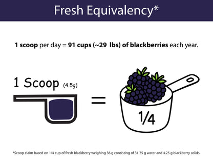 Organic Blackberry Powder