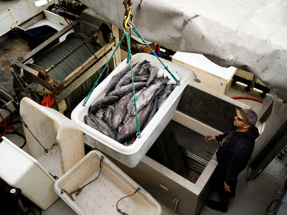 Wild Alaskan Black Cod